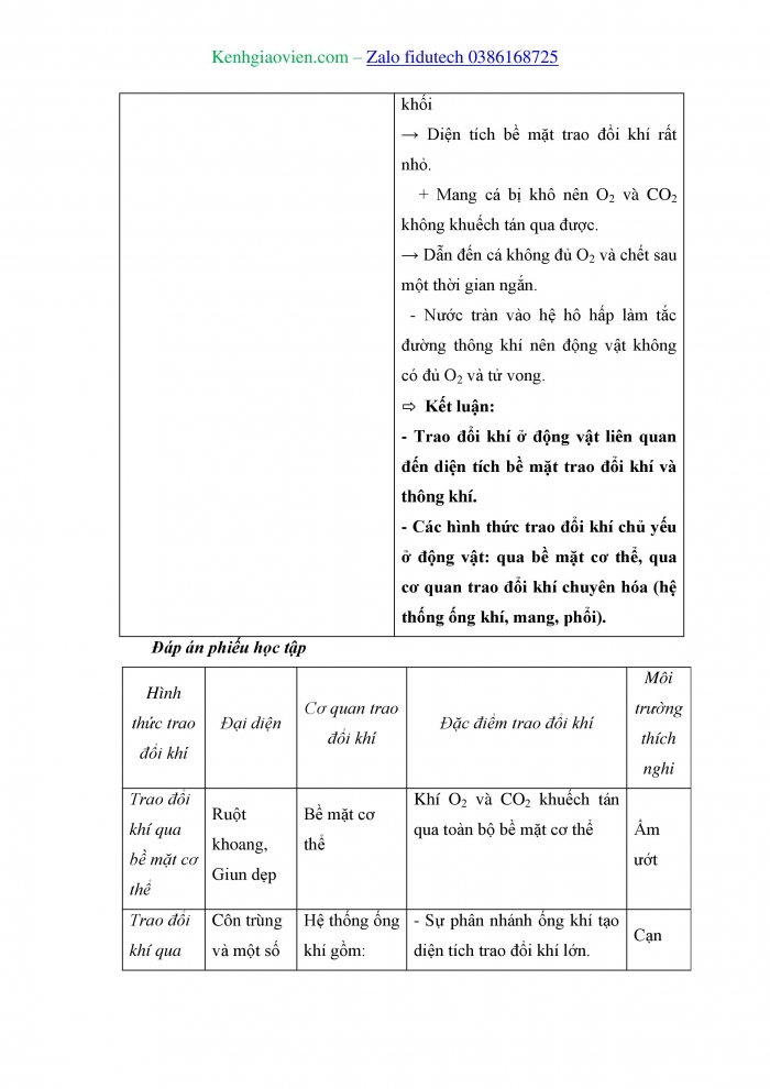 Giáo án và PPT Sinh học 11 kết nối Bài 9: Hô hấp ở động vật