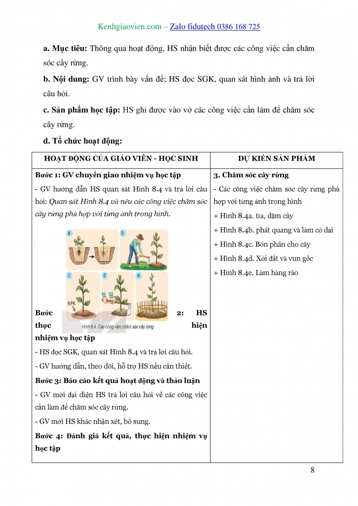 Giáo án và PPT Công nghệ 7 kết nối Bài 8: Trồng, chăm sóc và bảo vệ rừng