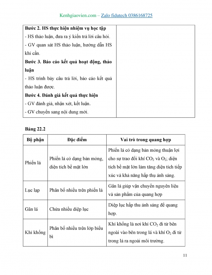Giáo án và PPT KHTN 7 kết nối Bài 22: Quang hợp ở thực vật