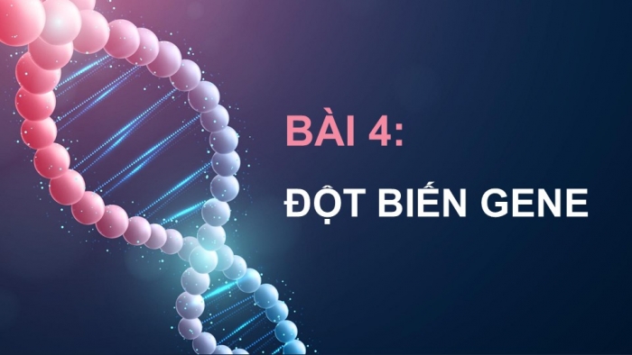 Giáo án điện tử Sinh học 12 cánh diều Bài 4: Đột biến gene