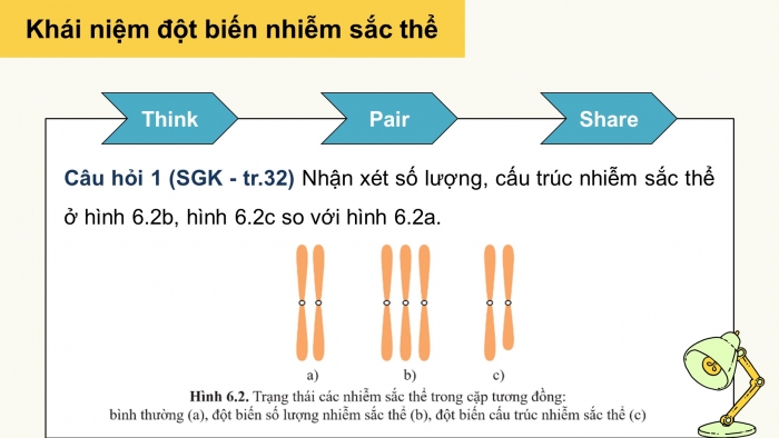 Giáo án điện tử Sinh học 12 cánh diều Bài 6: Đột biến nhiễm sắc thể