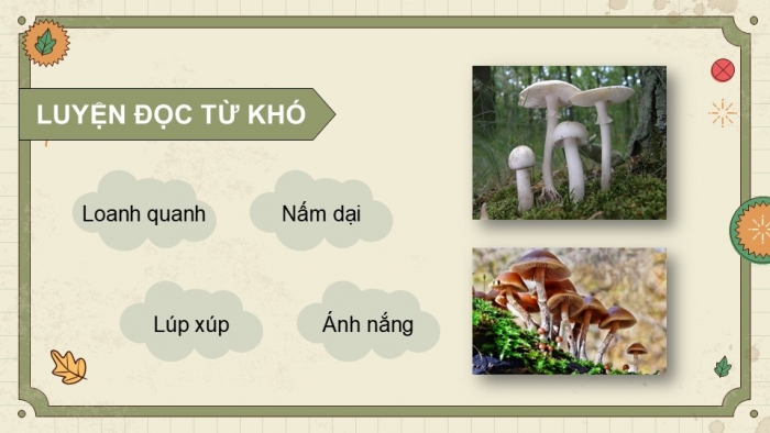 Giáo án điện tử Tiếng Việt 5 kết nối Bài 10: Kì diệu rừng xanh