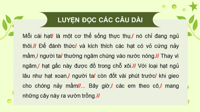 Giáo án điện tử Tiếng Việt 5 cánh diều Bài 3: Hạt nảy mầm