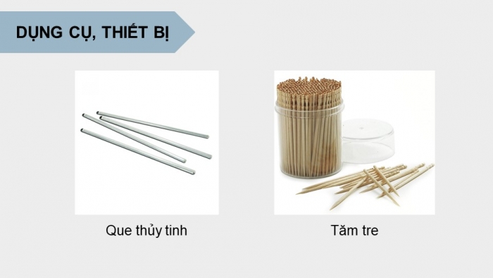 Giáo án điện tử Sinh học 12 kết nối Bài 6: Thực hành Tách chiết DNA