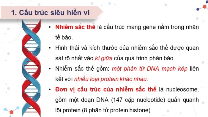 Giáo án điện tử Sinh học 12 chân trời Bài 5: Nhiễm sắc thể và đột biến nhiễm sắc thể