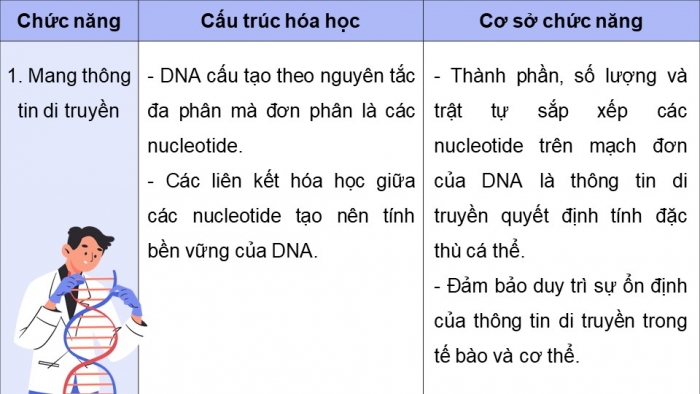 Giáo án điện tử Sinh học 12 cánh diều Bài 1: Gene và sự tái bản DNA