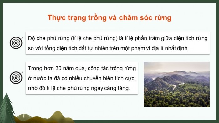 Giáo án điện tử Công nghệ 12 Lâm nghiệp Thủy sản Cánh diều Bài 7: Thực trạng trồng, chăm sóc, bảo vệ và khai thác rừng