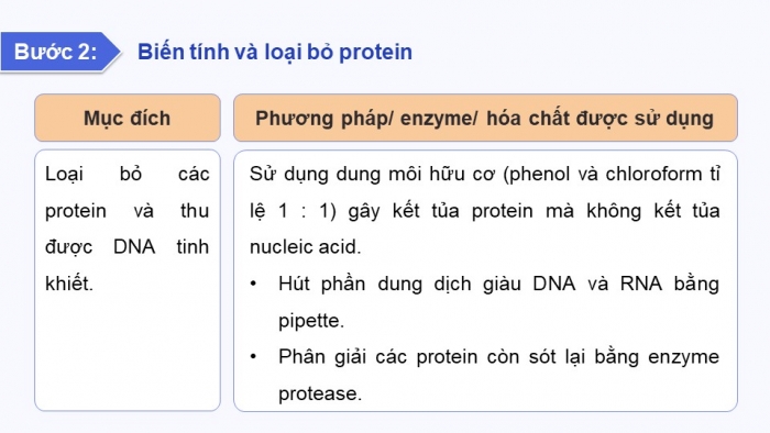 Giáo án điện tử chuyên đề sinh học 12 kết nối bài 2: Phương pháp tách chiết DNA