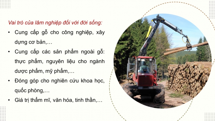 Giáo án điện tử Công nghệ 12 Lâm nghiệp Thủy sản Cánh diều Bài 1: Vai trò và triển vọng của lâm nghiệp