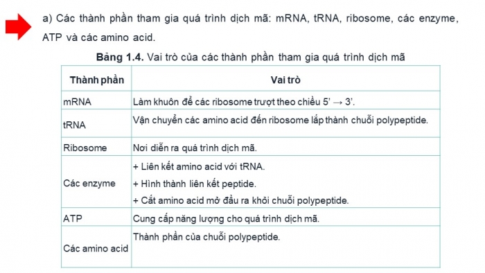 Giáo án điện tử Sinh học 12 chân trời Bài 1: Gene và cơ chế truyền thông tin di truyền (P2)