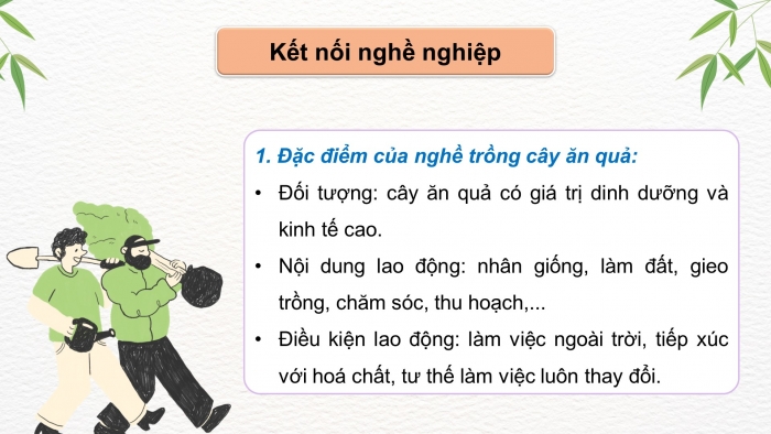 Giáo án điện tử Công nghệ 9 Trồng cây ăn quả Kết nối Bài 1: Giới thiệu chung về cây ăn quả (P2)