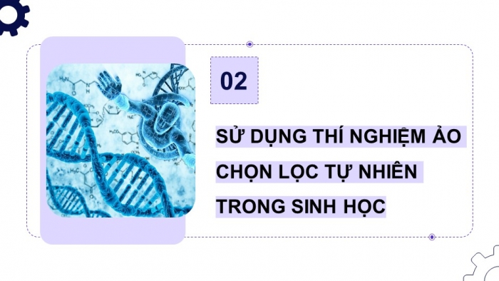 Giáo án điện tử Tin học 9 cánh diều Chủ đề E1 Bài 2: Thực hành sử dụng phần mềm mô phỏng