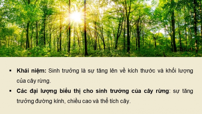 Giáo án điện tử Công nghệ 12 Lâm nghiệp - Thủy sản Kết nối Bài 4: Quy luật sinh trưởng và phát triển của cây rừng