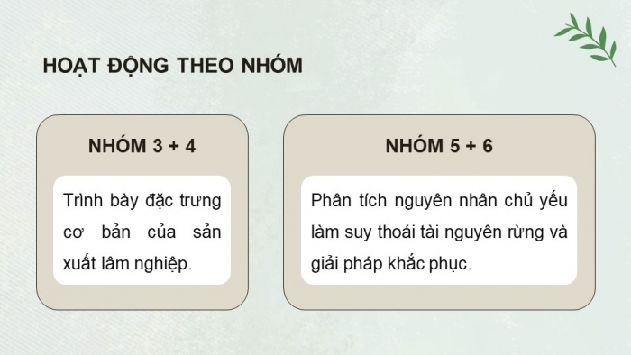 Giáo án điện tử Công nghệ 12 Lâm nghiệp Thủy sản Cánh diều Bài Ôn tập chủ đề 1