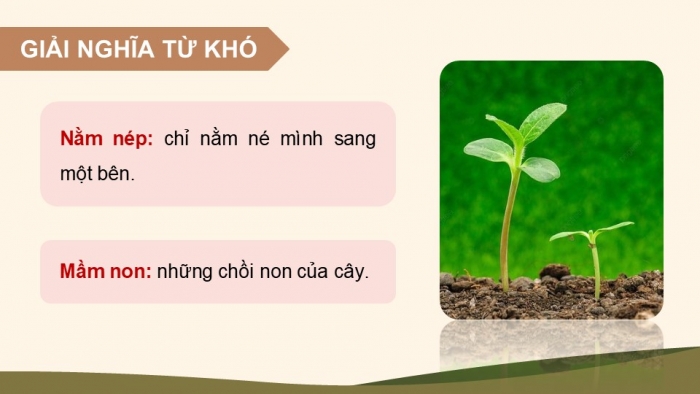 Giáo án điện tử Tiếng Việt 5 kết nối Bài 13: Mầm non