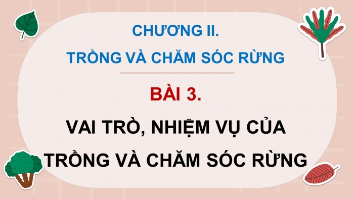 Giáo án điện tử Công nghệ 12 Lâm nghiệp - Thủy sản Kết nối Bài 3: Vai trò, nhiệm vụ của trồng và chăm sóc rừng