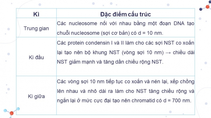 Giáo án điện tử Sinh học 12 kết nối Bài 7: Cấu trúc và chức năng của nhiễm sắc thể