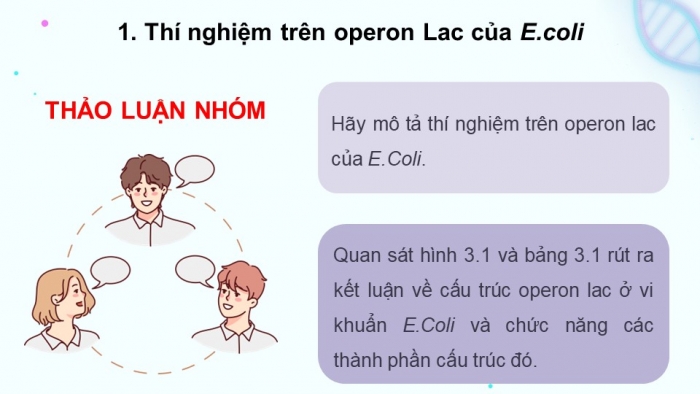 Giáo án điện tử Sinh học 12 chân trời Bài 3: Điều hoà biểu hiện gene