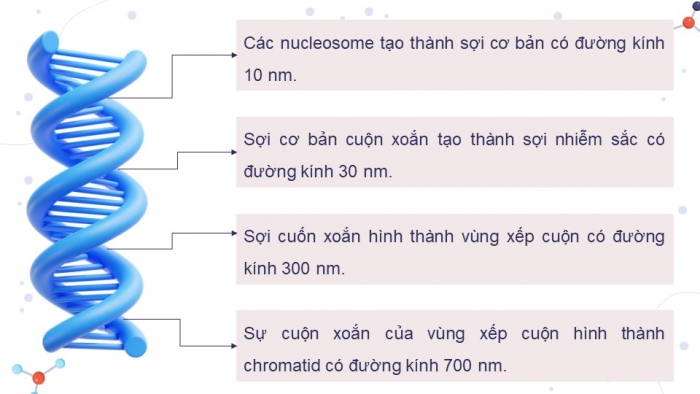 Giáo án điện tử Sinh học 12 chân trời Bài 5: Nhiễm sắc thể và đột biến nhiễm sắc thể