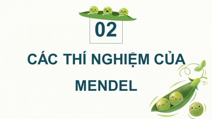 Giáo án điện tử Sinh học 12 chân trời Bài 7: Di truyền học Mendel và mở rộng học thuyết Mendel