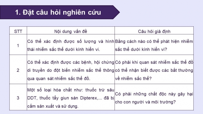 Giáo án điện tử Sinh học 12 chân trời Bài 6: Thực hành Quan sát đột biến nhiễm sắc thể, Tìm hiểu tác hại gây đột biến của một số chất độc