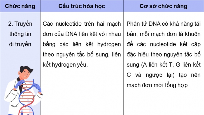 Giáo án điện tử Sinh học 12 cánh diều Bài 1: Gene và sự tái bản DNA