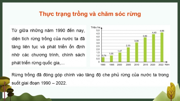 Giáo án điện tử Công nghệ 12 Lâm nghiệp Thủy sản Cánh diều Bài 7: Thực trạng trồng, chăm sóc, bảo vệ và khai thác rừng