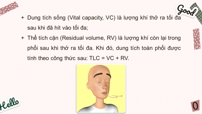 Giáo án điện tử toán 7 cánh diều bài: Hoạt động trải nghiệm dung tích phối