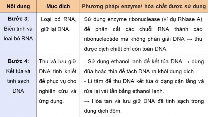 Giáo án điện tử chuyên đề sinh học 12 kết nối bài 2: Phương pháp tách chiết DNA