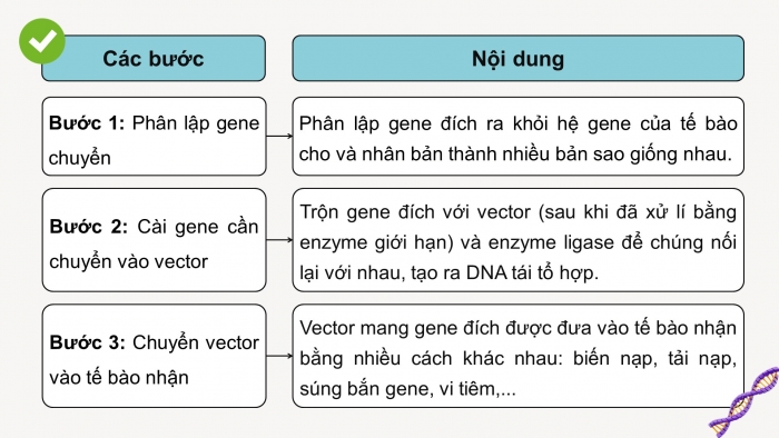 Giáo án điện tử chuyên đề sinh học 12 kết nối bài 3: Công nghệ gene