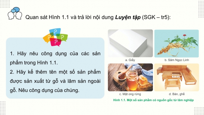 Giáo án điện tử Công nghệ 12 Lâm nghiệp Thủy sản Cánh diều Bài 1: Vai trò và triển vọng của lâm nghiệp