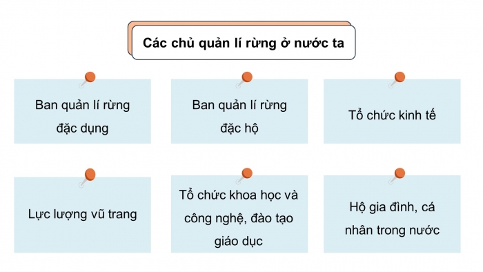 Giáo án điện tử Công nghệ 12 Lâm nghiệp Thủy sản Cánh diều Bài 2: Đặc trưng cơ bản của sản xuất lâm nghiệp