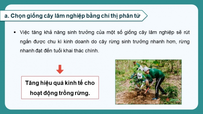 Giáo án điện tử chuyên đề Công nghệ 12 Lâm nghiệp Thuỷ sản Cánh diều Bài 2: Thành tựu và triển vọng của công nghệ sinh học trong lâm nghiệp