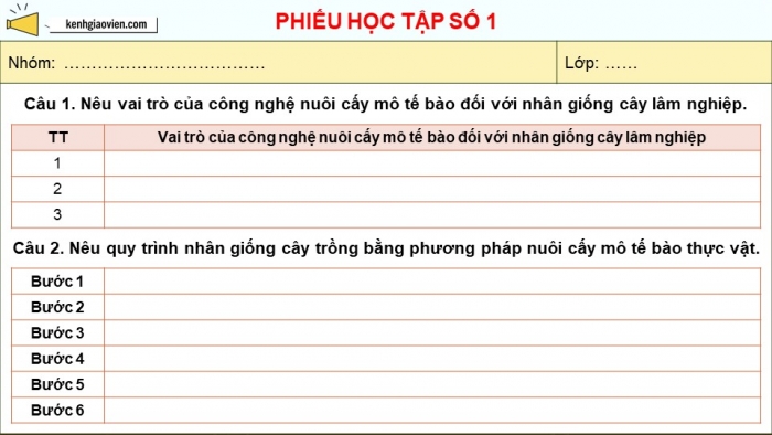 Giáo án điện tử chuyên đề Công nghệ 12 Lâm nghiệp Thuỷ sản Cánh diều Bài 3: Ứng dụng của công nghệ sinh học trong lâm nghiệp