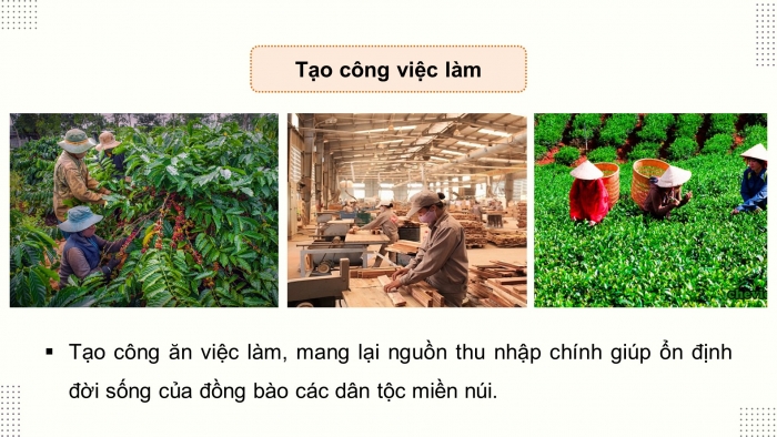 Giáo án điện tử Công nghệ 12 Lâm nghiệp - Thủy sản Kết nối Bài 1: Vai trò và triển vọng của lâm nghiệp