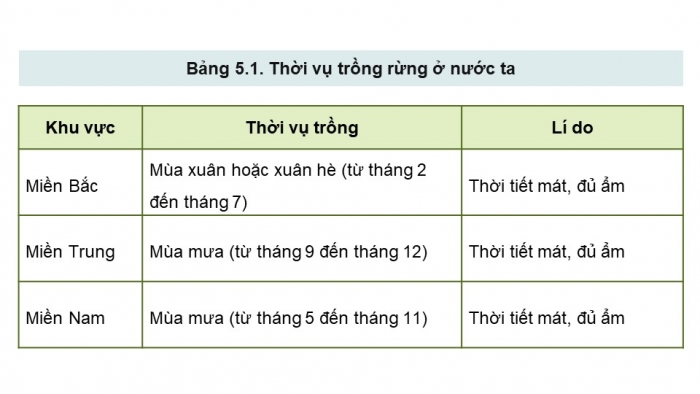 Giáo án điện tử Công nghệ 12 Lâm nghiệp - Thủy sản Kết nối Bài 5: Kĩ thuật trồng và chăm sóc rừng