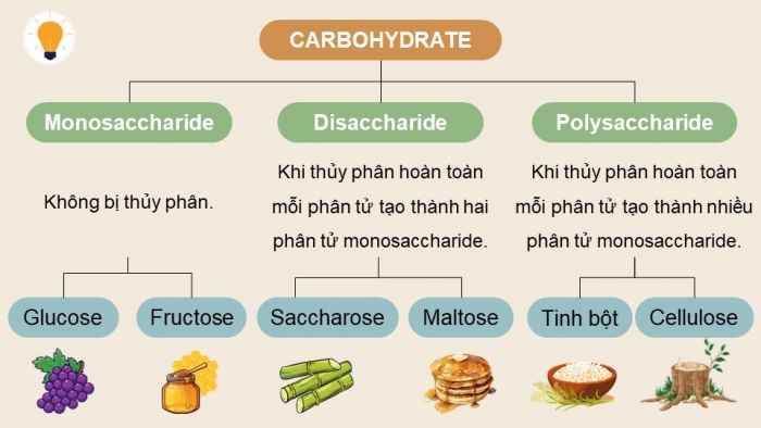 Giáo án điện tử Hóa học 12 cánh diều Bài 3: Giới thiệu về carbohydrate