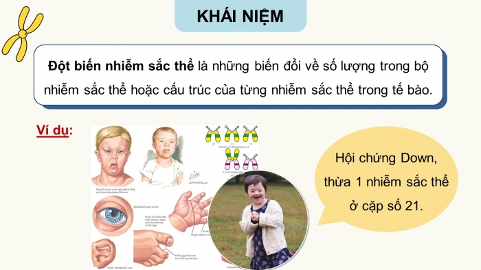 Giáo án điện tử Sinh học 12 cánh diều Bài 6: Đột biến nhiễm sắc thể