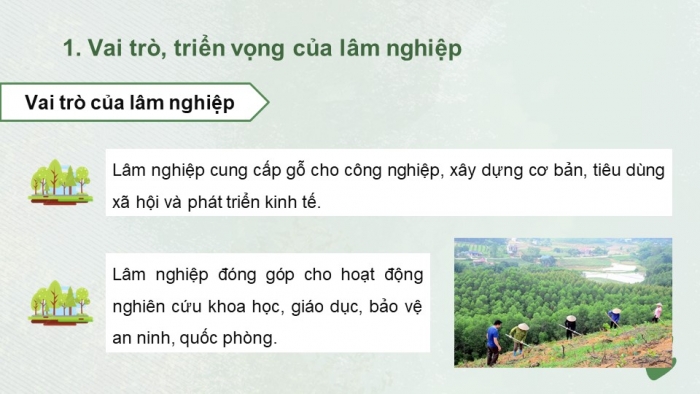 Giáo án điện tử Công nghệ 12 Lâm nghiệp Thủy sản Cánh diều Bài Ôn tập chủ đề 1