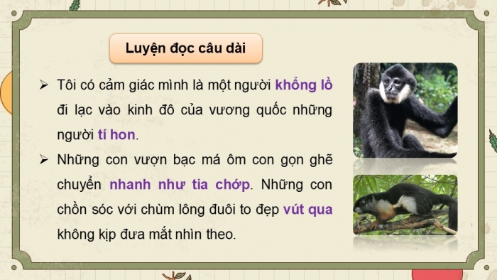 Giáo án điện tử Tiếng Việt 5 kết nối Bài 10: Kì diệu rừng xanh