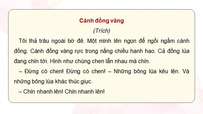 Giáo án điện tử Tiếng Việt 5 kết nối Bài Ôn tập và Đánh giá giữa học kì I (Tiết 6 + 7)