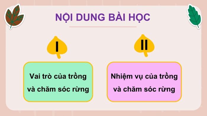 Giáo án điện tử Công nghệ 12 Lâm nghiệp - Thủy sản Kết nối Bài 3: Vai trò, nhiệm vụ của trồng và chăm sóc rừng