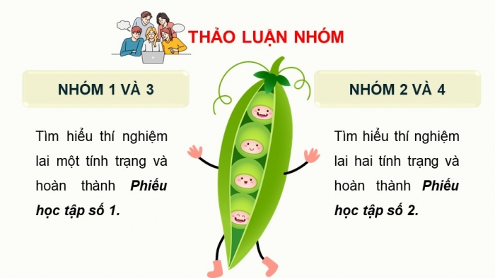 Giáo án điện tử Sinh học 12 kết nối Bài 8: Học thuyết di truyền của Mendel