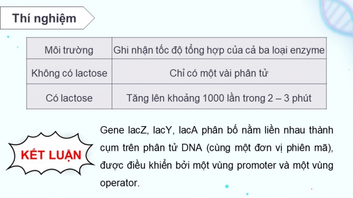 Giáo án điện tử Sinh học 12 chân trời Bài 3: Điều hoà biểu hiện gene