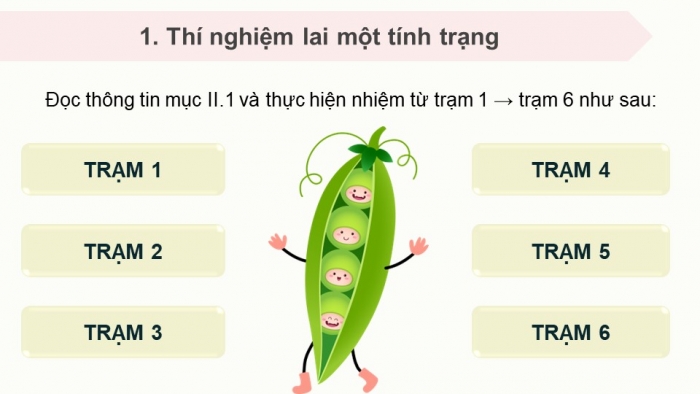 Giáo án điện tử Sinh học 12 chân trời Bài 7: Di truyền học Mendel và mở rộng học thuyết Mendel