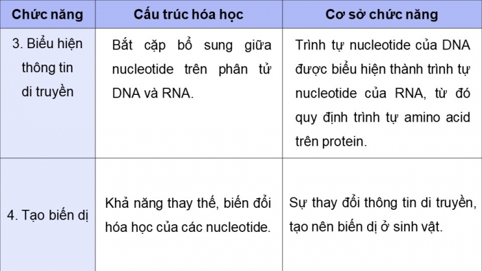 Giáo án điện tử Sinh học 12 cánh diều Bài 1: Gene và sự tái bản DNA