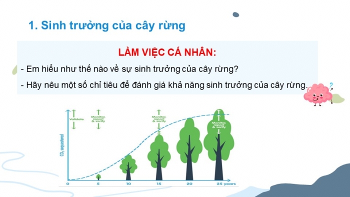 Giáo án điện tử Công nghệ 12 Lâm nghiệp Thủy sản Cánh diều Bài 4: Sinh trưởng và phát triển của cây rừng