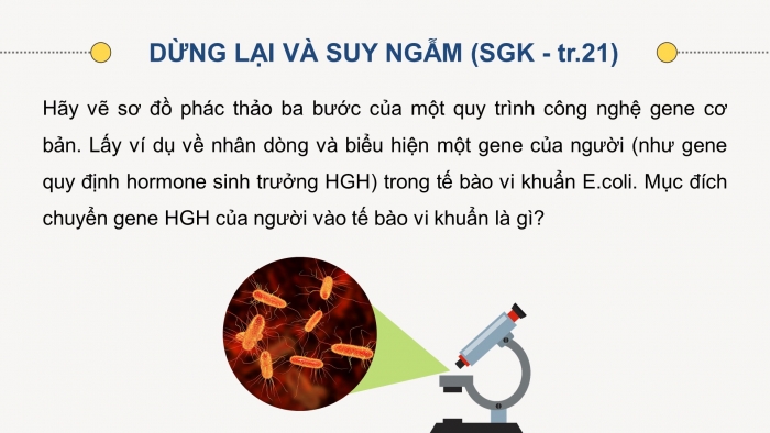 Giáo án điện tử chuyên đề sinh học 12 kết nối bài 3: Công nghệ gene