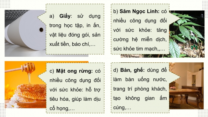 Giáo án điện tử Công nghệ 12 Lâm nghiệp Thủy sản Cánh diều Bài 1: Vai trò và triển vọng của lâm nghiệp