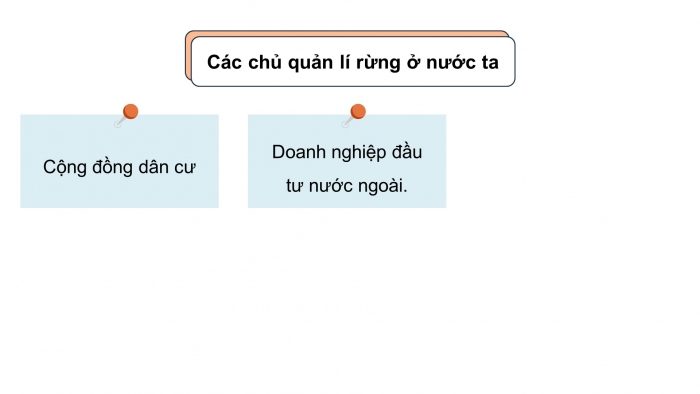 Giáo án điện tử Công nghệ 12 Lâm nghiệp Thủy sản Cánh diều Bài 2: Đặc trưng cơ bản của sản xuất lâm nghiệp